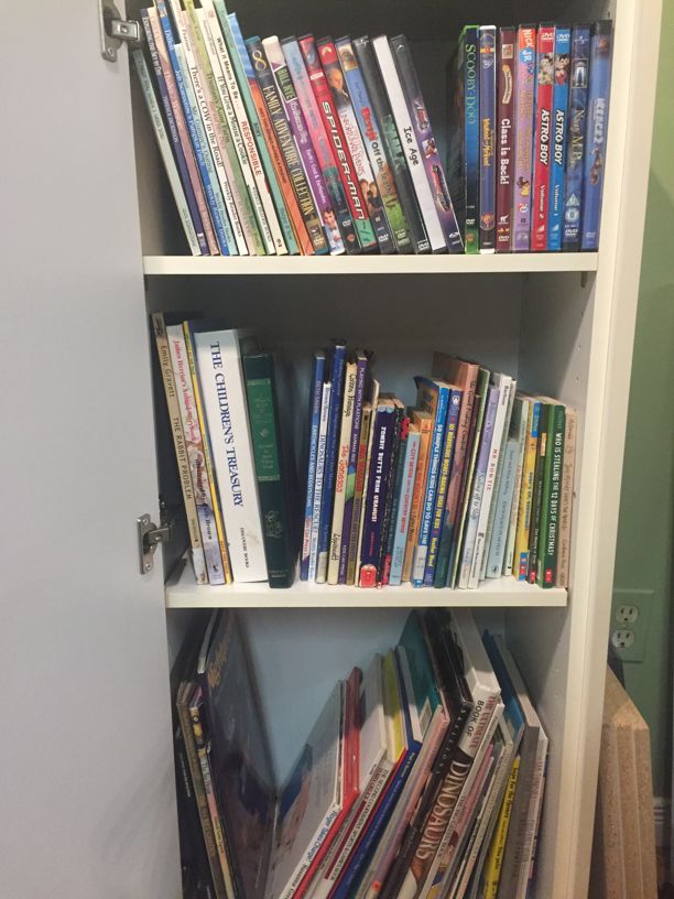 an image of our lending library, showing some of the videos and books available